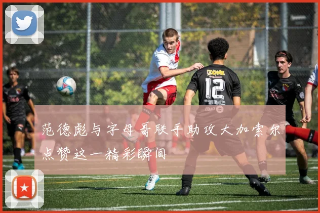 范德彪与字母哥联手助攻大加索尔点赞这一精彩瞬间